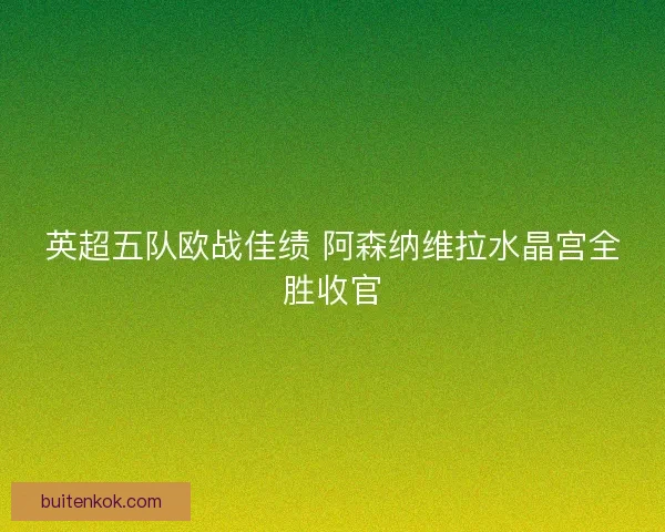 英超五队欧战佳绩 阿森纳维拉水晶宫全胜收官