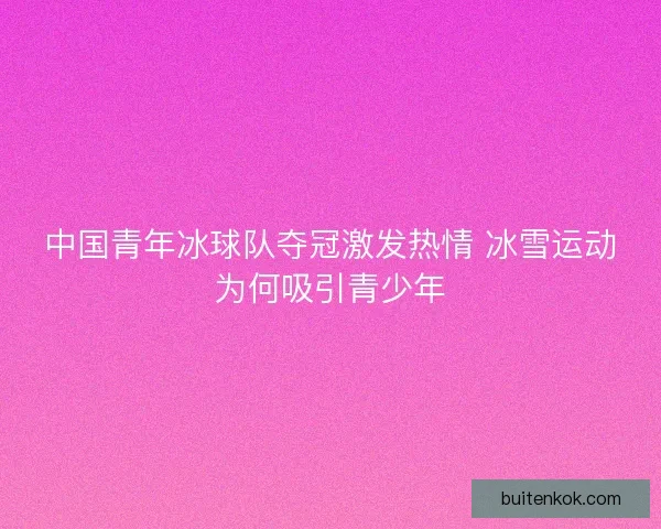 中国青年冰球队夺冠激发热情 冰雪运动为何吸引青少年