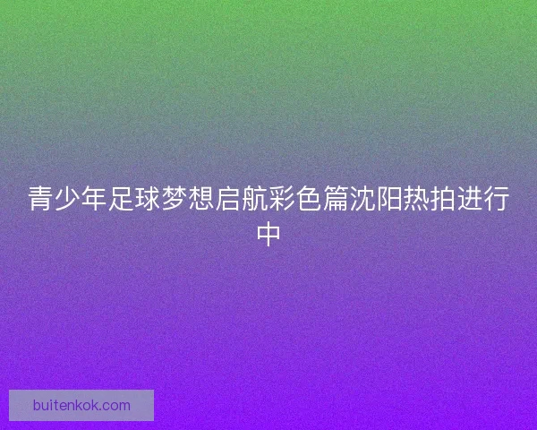 青少年足球梦想启航彩色篇沈阳热拍进行中