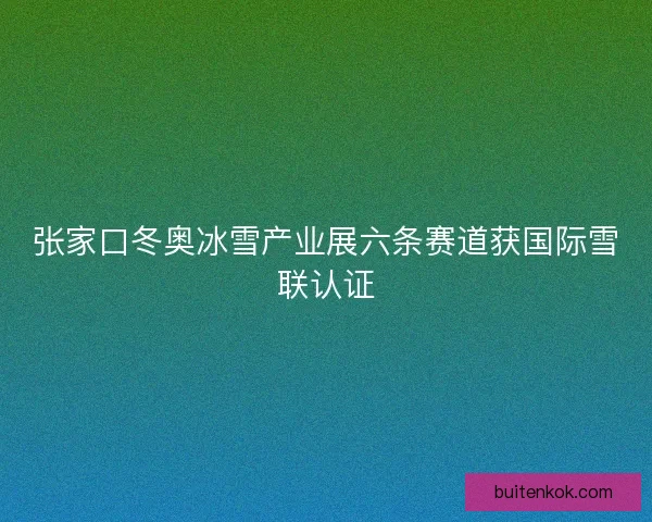 张家口冬奥冰雪产业展六条赛道获国际雪联认证