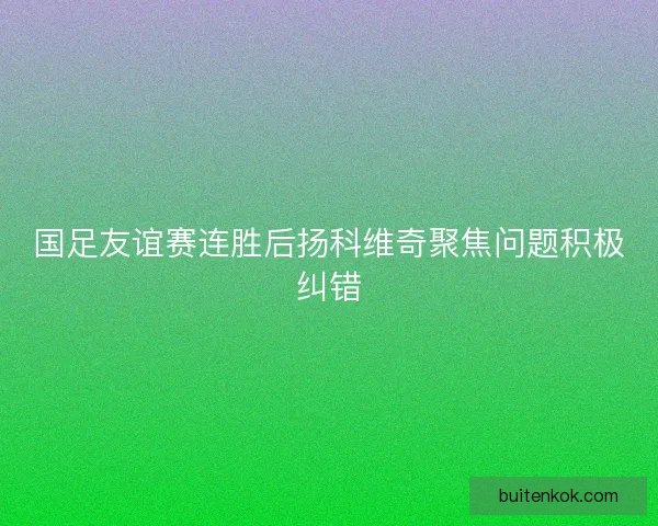国足友谊赛连胜后扬科维奇聚焦问题积极纠错