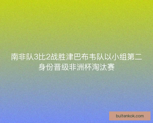 南非队3比2战胜津巴布韦队以小组第二身份晋级非洲杯淘汰赛